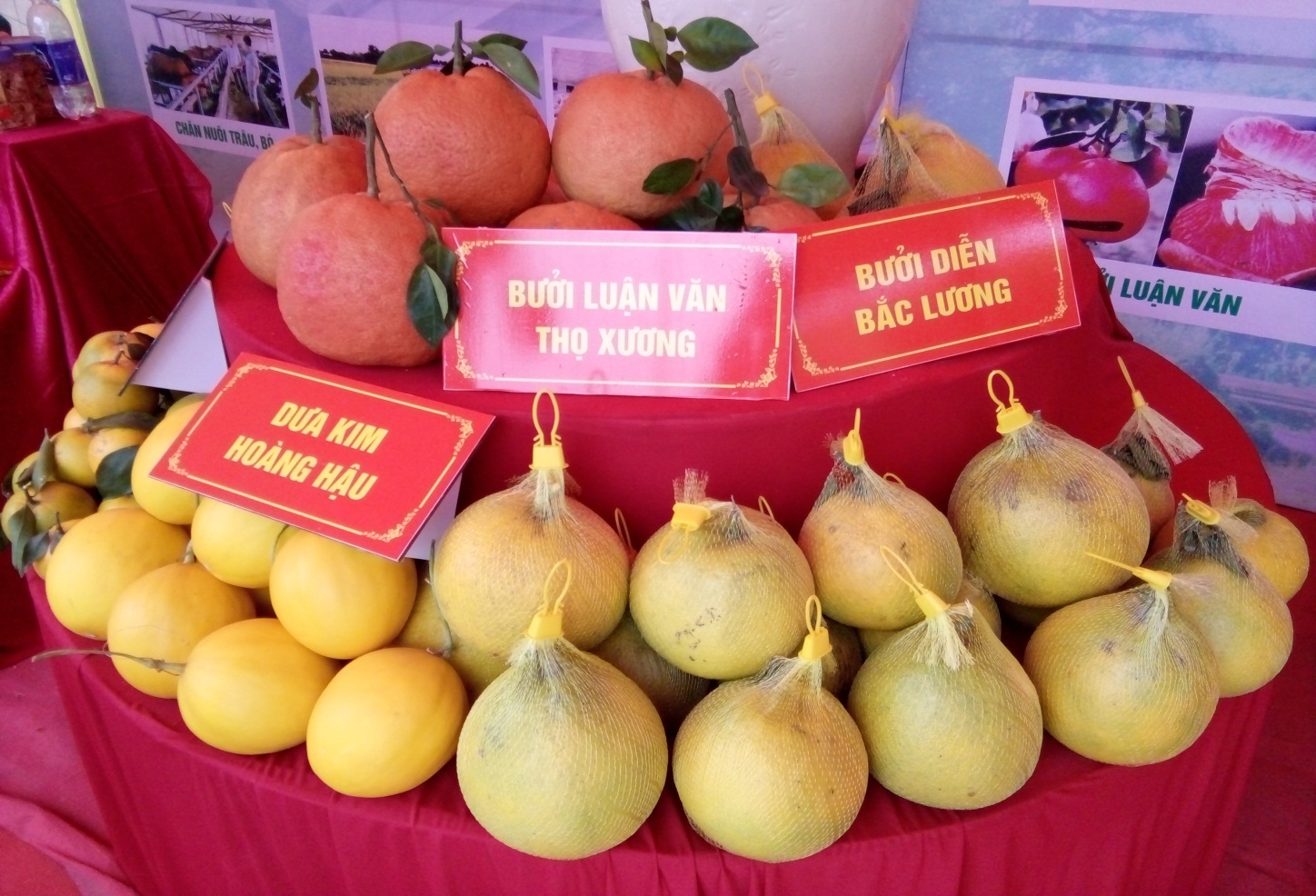 thanh hoa dien mao moi tren huyen can dich nong thon moi