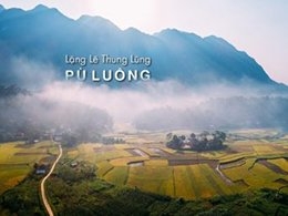thanh hoa khu bao ton thien nhien pu luong la tot cong tac quan ly bao ve rung 9 thang nam 2019