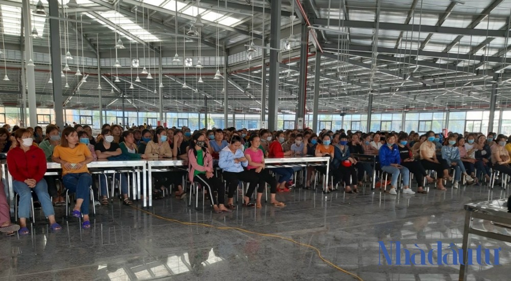 Nghệ An kết nối 84 doanh nghiệp có nhu cầu tuyển dụng lao động
