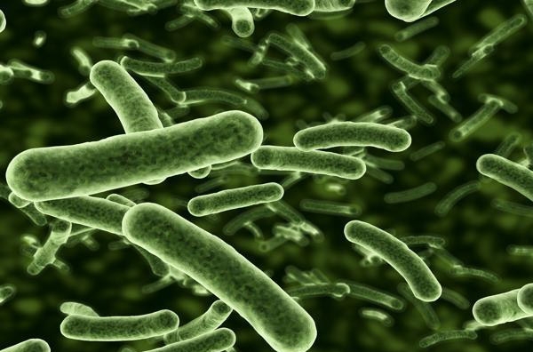 xu phat 3 nha may nuoc o nghe an 60 trieu dong vi nuoc nhiem vi khuan coliform