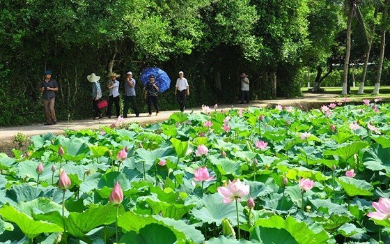 Chương trình nghệ thuật đặc biệt “Người Mẹ làng Sen”: kỷ niệm 132 năm Ngày sinh nhật Bác