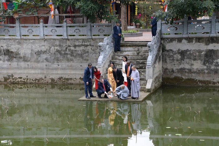 dai su my lan dau tha ca chep tien tao quan ve chau troi o ha noi