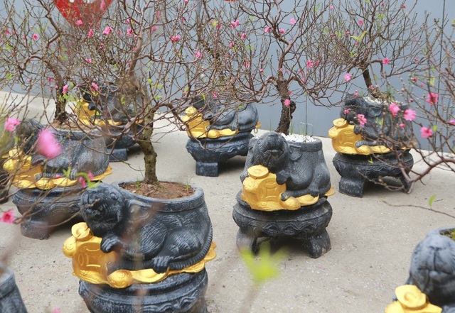 muon kieu cay bonsai hinh chuot doc dao don tet nguyen dan canh ty 2020