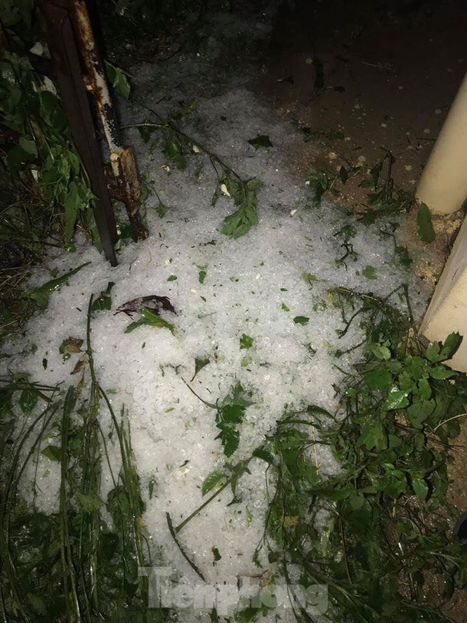 anh mua da kem giong loc du doi trut xuong yen bai va lao cai gay anh huong nang ne