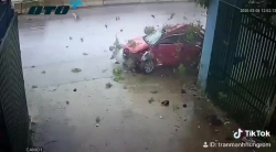 video o to vang thang vao goc cay ven duong bien dang tai xe tu vong