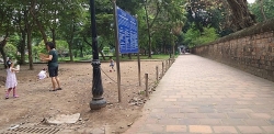 cu ong 81 tuoi nung co gai tam than o vuon hoa quoc tu giam