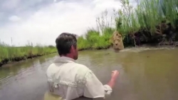 minh tu va hang loat sao viet bi ket lai o noi dang la tam dich covid 19