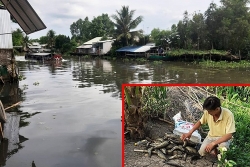 Vì sao sông ở miền Tây bất ngờ chuyển màu đen, bốc mùi hôi thối?
