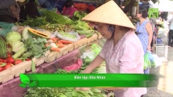Video: Xăng, điện tăng giá, hàng hóa "chạy đua" ăn theo