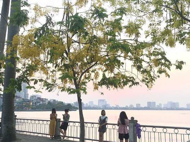 Chùm ảnh: Bất chấp "chảo lửa" hơn 40 độ C ở Hà Nội, hoa muồng hoàng yến vẫn hút hồn giới trẻ chum anh bat chap chao lua hon 40 do c o ha noi hoa muong hoang yen van hut hon gioi tre