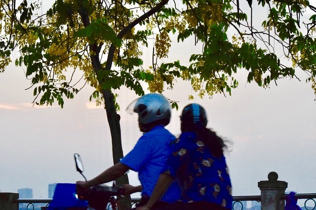 Chùm ảnh: Bất chấp "chảo lửa" hơn 40 độ C ở Hà Nội, hoa muồng hoàng yến vẫn hút hồn giới trẻ chum anh bat chap chao lua hon 40 do c o ha noi hoa muong hoang yen van hut hon gioi tre