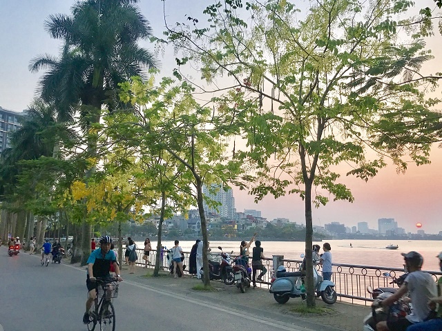 Chùm ảnh: Bất chấp "chảo lửa" hơn 40 độ C ở Hà Nội, hoa muồng hoàng yến vẫn hút hồn giới trẻ chum anh bat chap chao lua hon 40 do c o ha noi hoa muong hoang yen van hut hon gioi tre