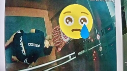 Công an vào cuộc vụ nam thanh niên quỳ xuống nhìn ngược váy bé gái trong thang máy