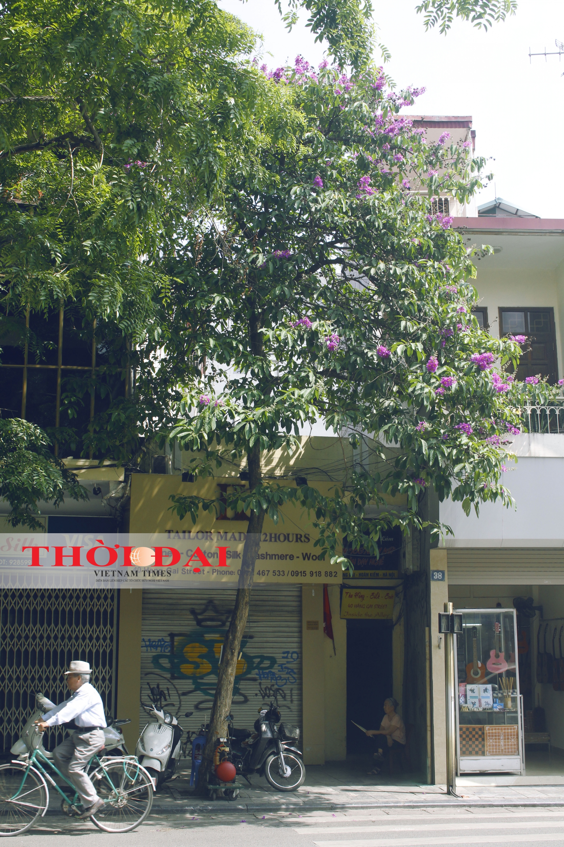 chum anh sac tim bang lang giua long ha noi