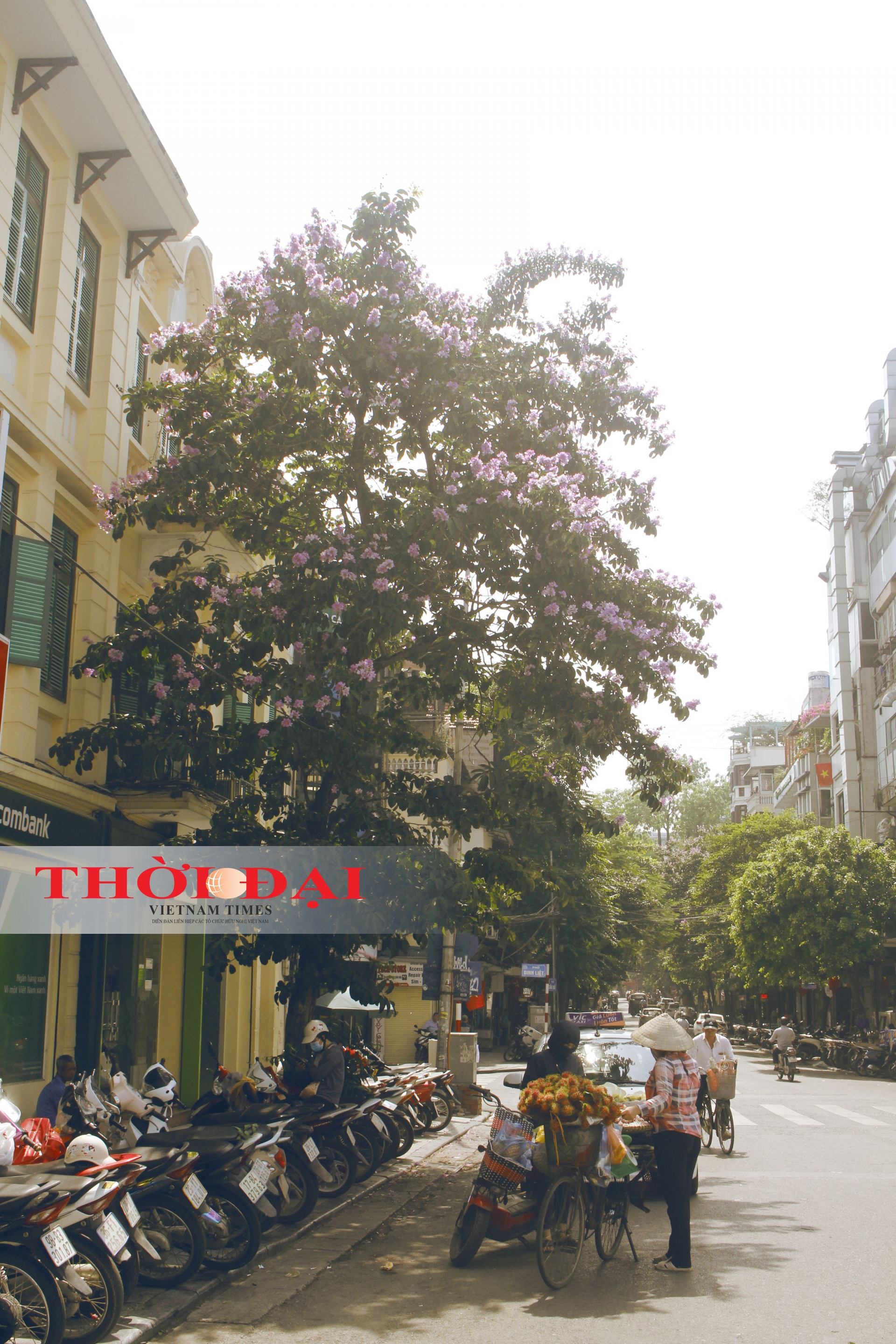 chum anh sac tim bang lang giua long ha noi