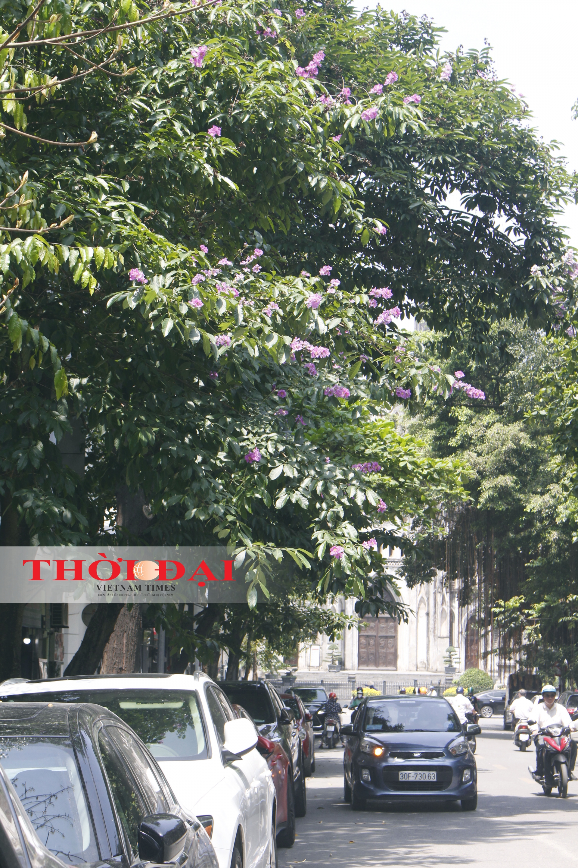 chum anh sac tim bang lang giua long ha noi