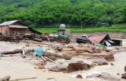 mua giong lam sap toc mai gan 200 can nha o kien giang