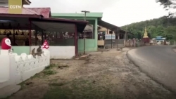 Video: Choáng cảnh hàng nghìn con khỉ "xâm lăng" ngôi chùa ở Myanmar