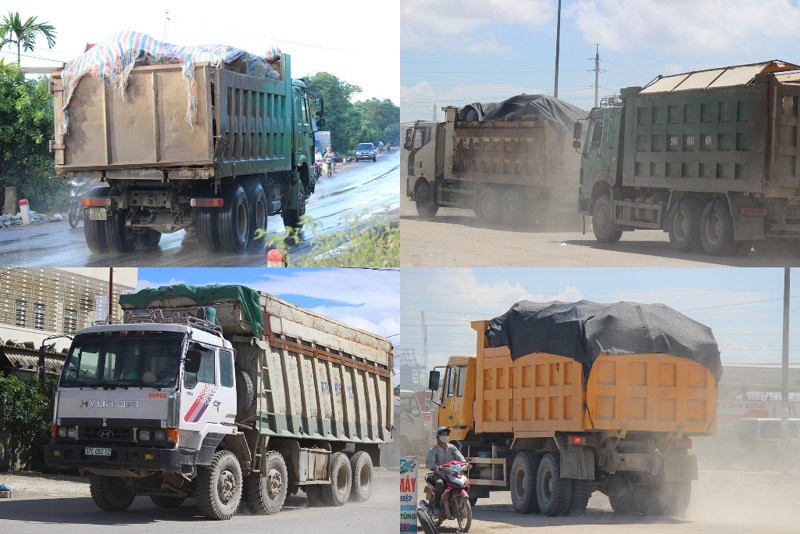 Vì sao gần 500 lái xe bị tước bằng?