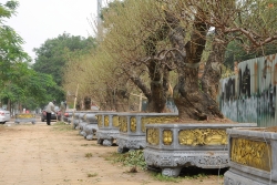 cho hoa ha noi van nhon nhip tap nap ke ban nguoi mua choi tet