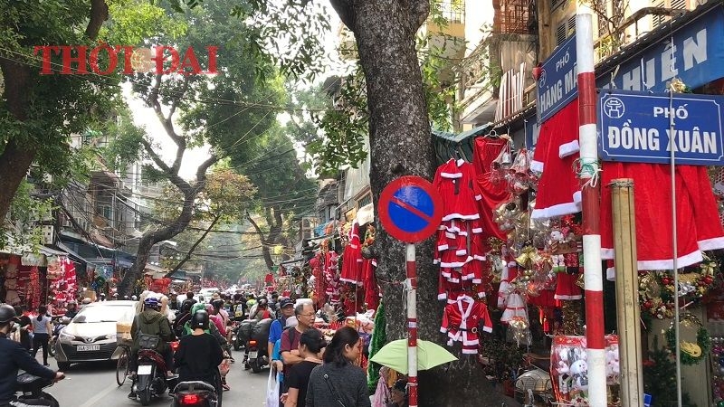 chum anh hang loat cay thong khong lo do bo xuong pho ha noi