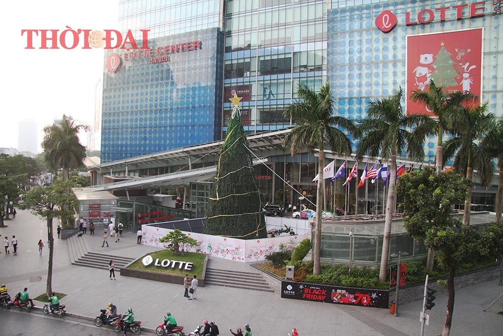 chum anh hang loat cay thong khong lo do bo xuong pho ha noi