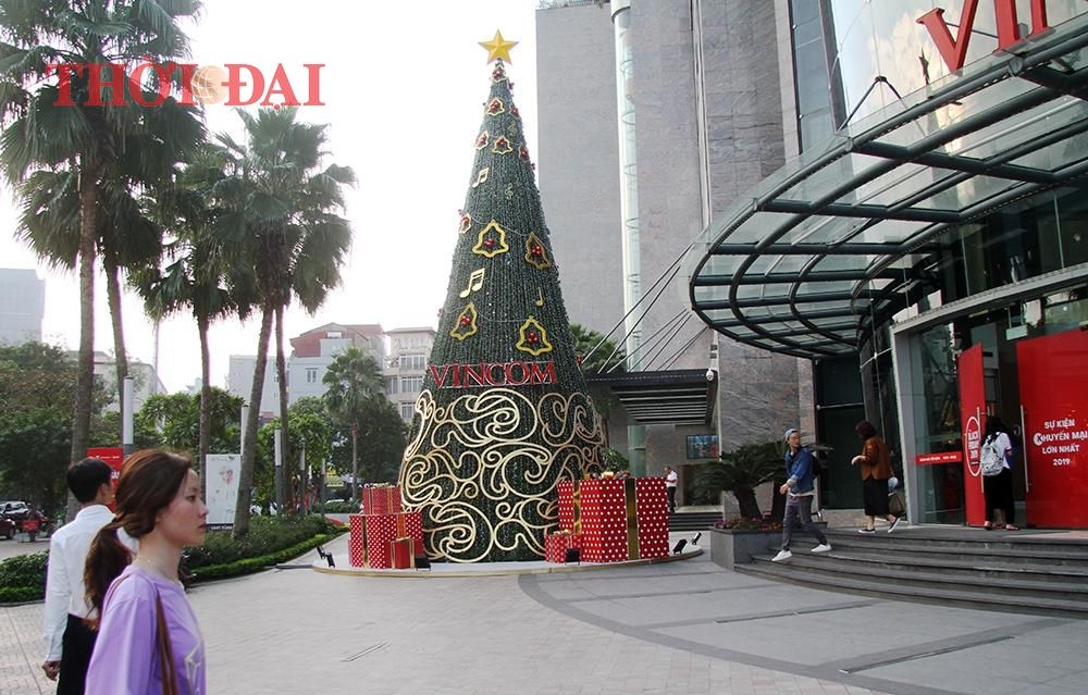 chum anh hang loat cay thong khong lo do bo xuong pho ha noi