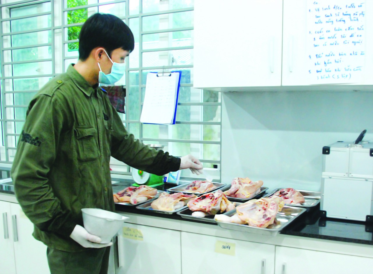 Cán bộ cứu hộ chia  khẩu phần ăn cho hổ. 