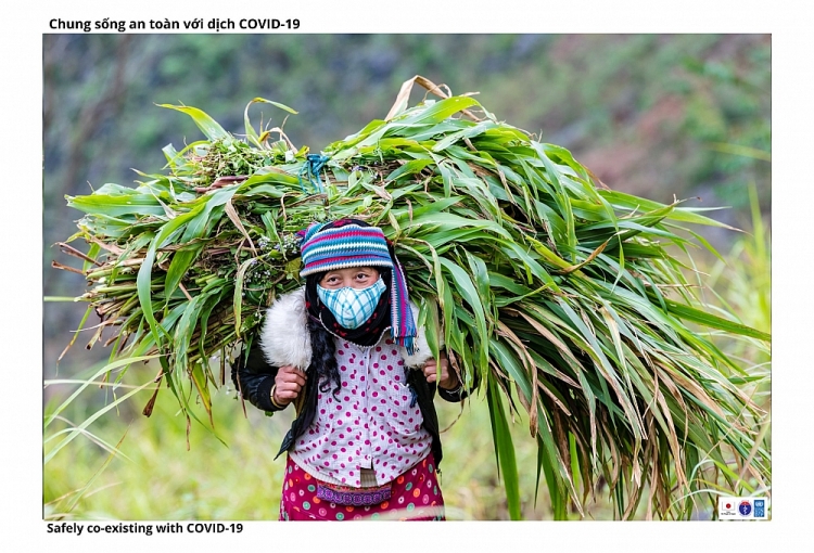 Người phụ nữ người Mông đi cắt cỏ đem về nuôi bò Đồng bào dân tộc Hà Giang vừa phát triển kinh tế bền vững, vừa chống dịch hiệu quả