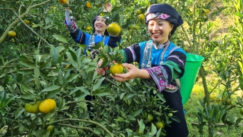 Những phụ nữ vùng cao 