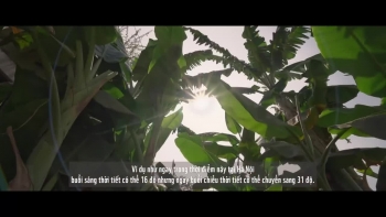 cam nhan bien doi khi hau de no luc hanh dong vi trai dat