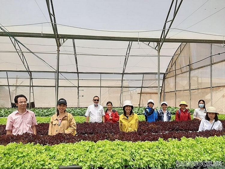 Đại sứ Đỗ Minh Hùng cùng cán bộ Đại sứ quán Việt Nam tại Israel thăm sinh viên Việt Nam ở trung tâm Sderod Negev, gần Dải Gaza, tháng 7/2020. (Nguồn: ĐSQ Việt Nam tại Israel)