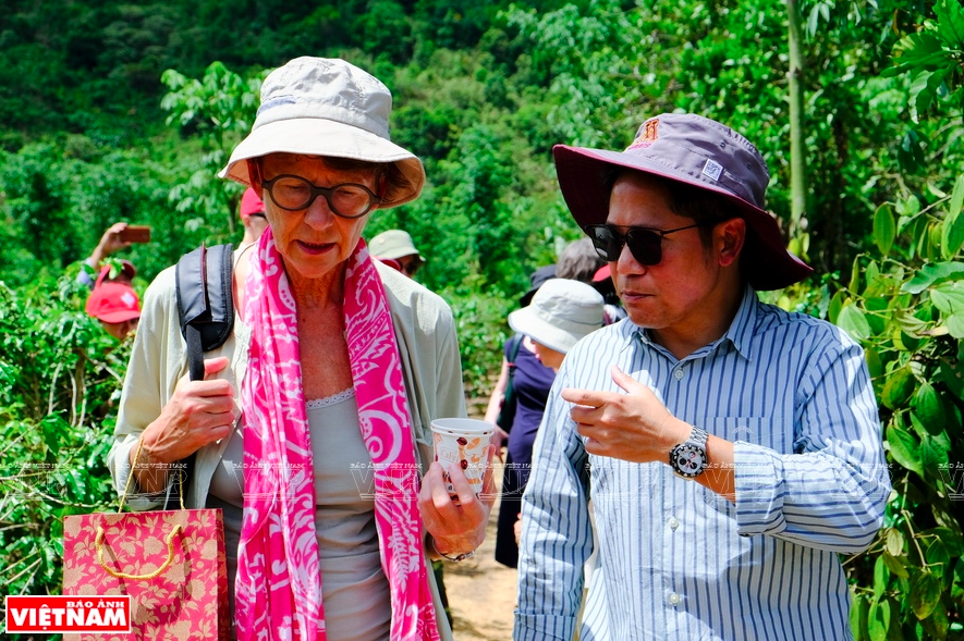 Grete Lochen - nữ Đại sứ Grete Lochen - nữ Đại sứ