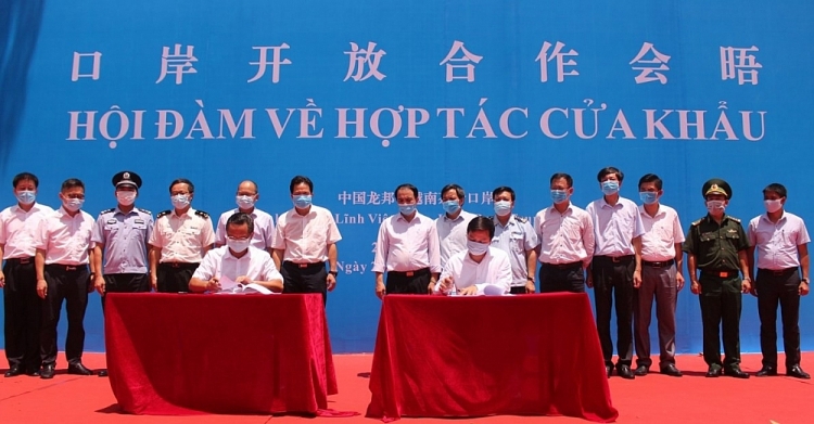 5220 img 8969 1191 x 621 1