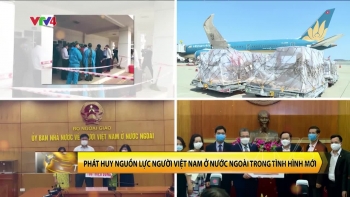 Phát huy nguồn lực người Việt Nam ở nước ngoài trong tình hình mới