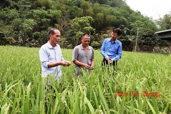Những phận đời lạc lối và cuộc sống hồi sinh ngoài song sắt