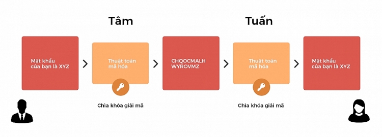 2051 anh1