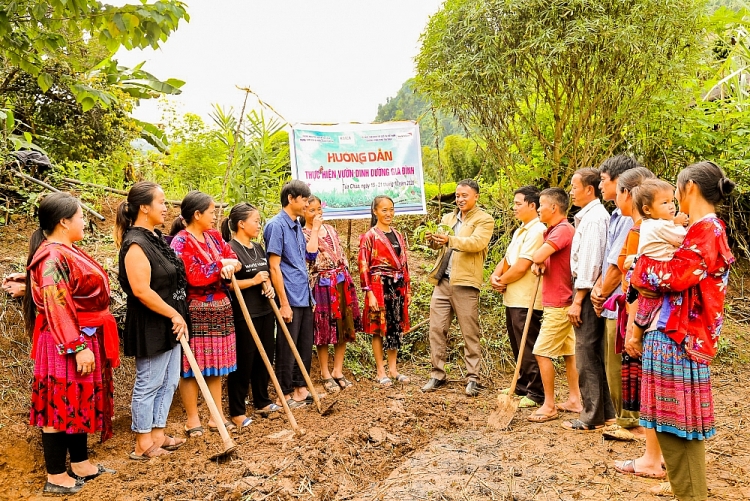 Tập huấn kỹ thuật trồng vườn rau dinh dưỡng giúp hộ gia đình đảm bảo an ninh lương thực