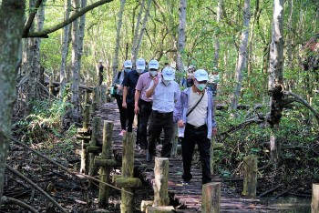 Bạn bè quốc tế chỉ đường phát triển ngành du lịch trong “bình thường mới”