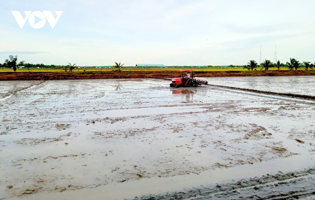 vung Dbscl co nguy co bi anh huong hon 53.000 ha san xuat nong nghiep do ngap hinh anh 3