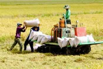 Xuất khẩu gạo vượt 6 triệu tấn