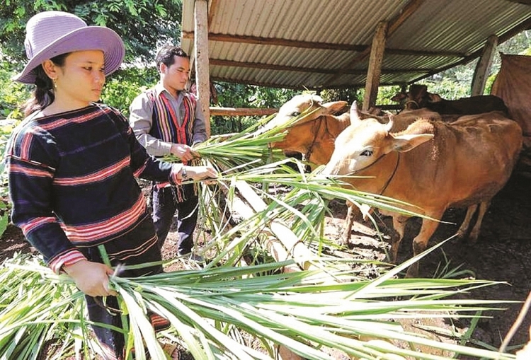 Ước đến cuối năm 2020, tỷ lệ hộ nghèo cả nước giảm còn khoảng 2,75%