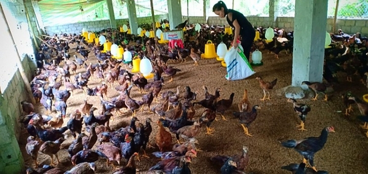 Nhiều gia đình thoát nghèo vì được hưởng lợi từ chính sách giảm nghèo bền vững.