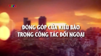 Đóng góp của kiều bào trong công tác đối ngoại