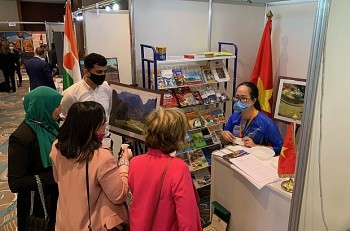 vaeca tu van nhieu bien phap hieu qua de doanh nghiep viet hop tac hieu qua voi cac nuoc chau phi