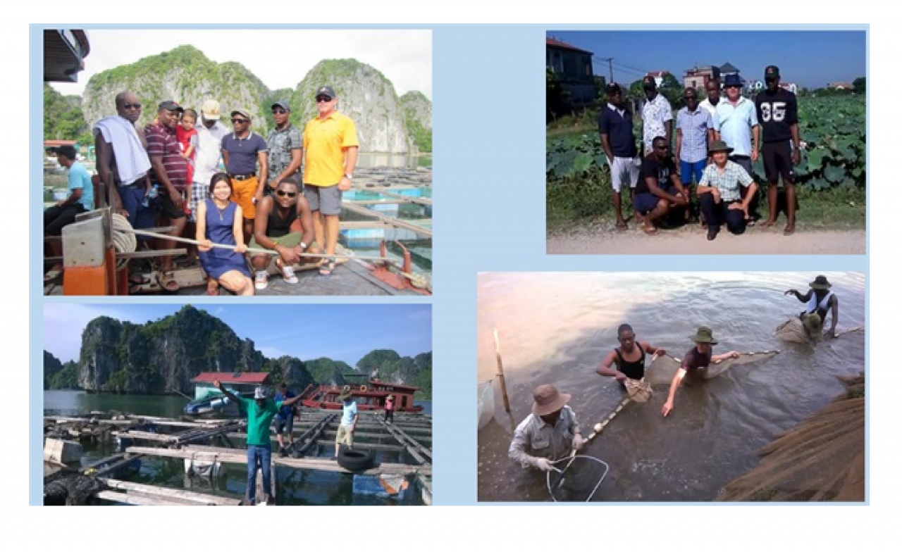 Việt Nam đã cử gần 500 chuyên gia sang hỗ trợ phát triển nông nghiệp tại các nước châu Phi. 