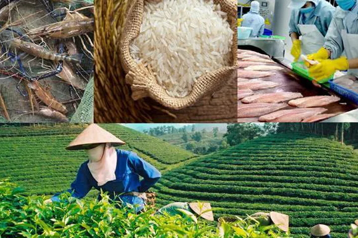 Tìm phương thức mới nhằm tăng hiệu quả hợp tác trong bối cảnh COVID-19