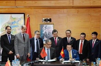 Thúc đẩy hợp tác về năng lượng tái tạo giữa Việt Nam và Ma-rốc hậu COVID-19