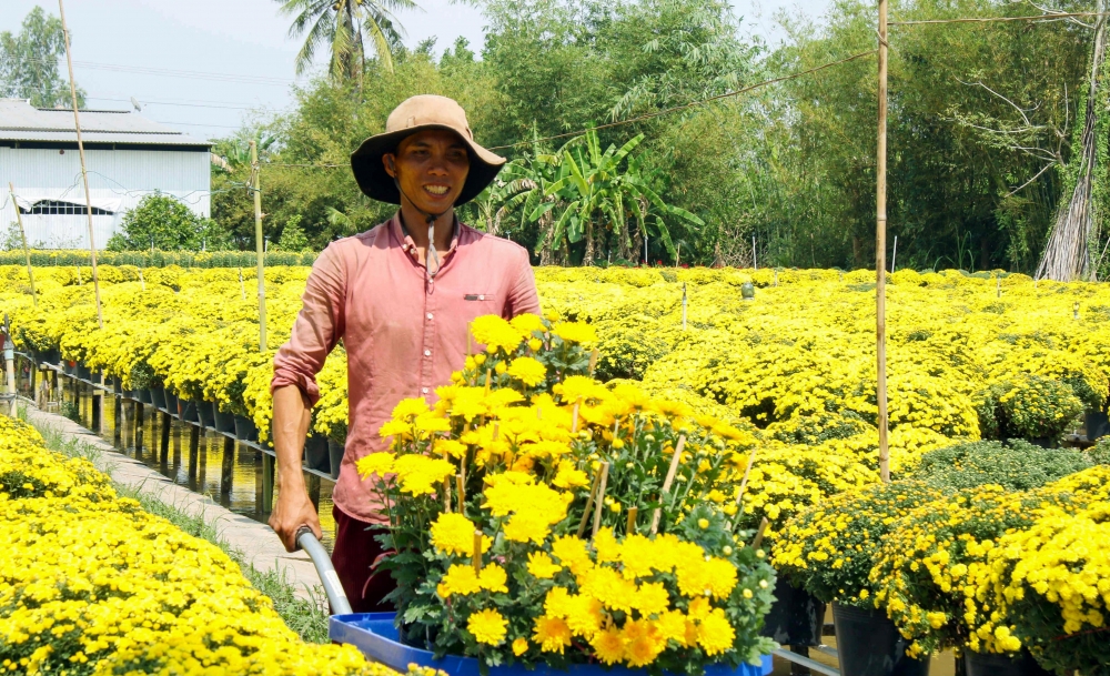 Đồng Tháp tri ân, tôn vinh những người trồng hoa