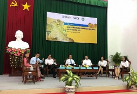 dbscl da co su but pha cai thien diem so pci